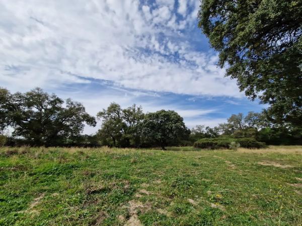 Terreno en camino Vial, 2 y