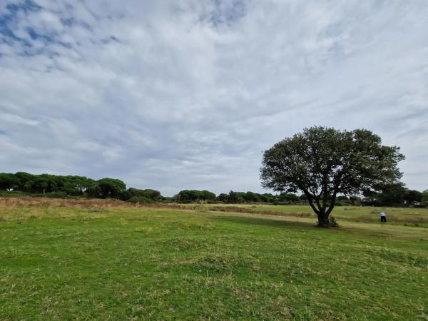 Terreno en camino Vial, 2 y