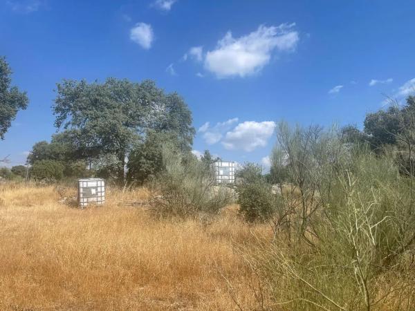 Terreno en Valdemorillo pueblo