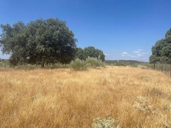 Terreno en Valdemorillo pueblo