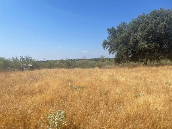 Terreno en Valdemorillo pueblo