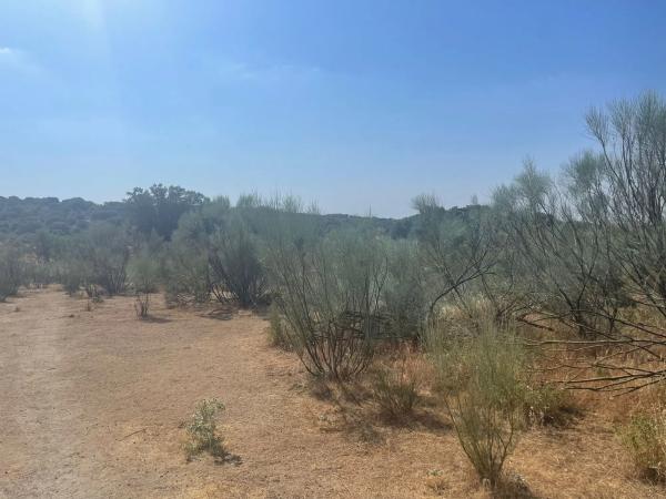 Terreno en Valdemorillo pueblo
