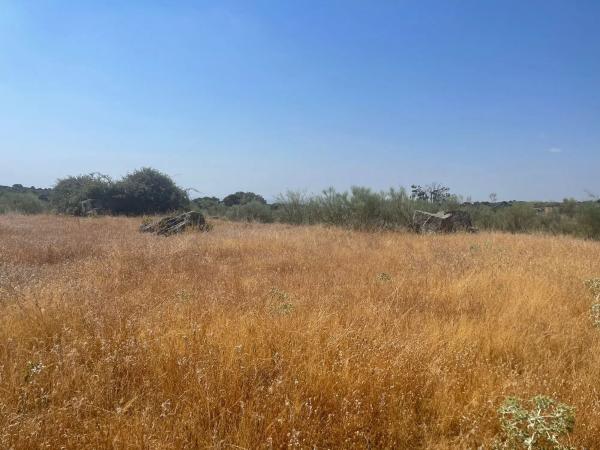 Terreno en Valdemorillo pueblo