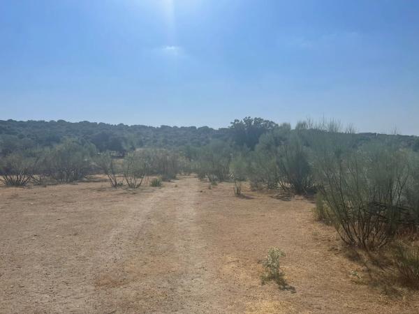 Terreno en Valdemorillo pueblo