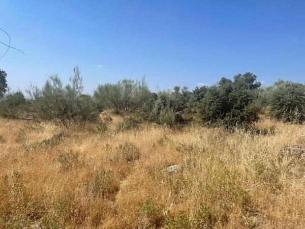 Terreno en Valdemorillo pueblo