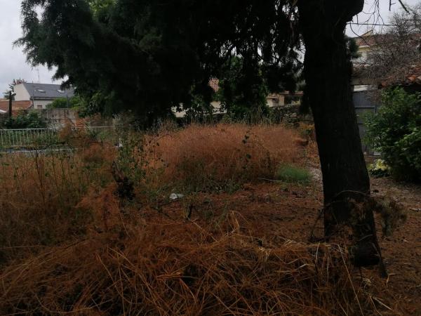 Terreno en Vista Alegre, 8