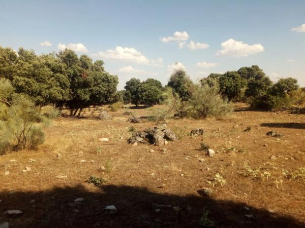 Terreno en avenida del Valle s/n