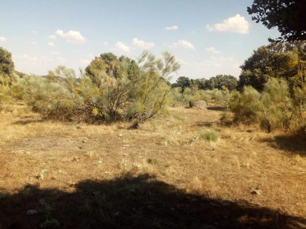 Terreno en avenida del Valle s/n