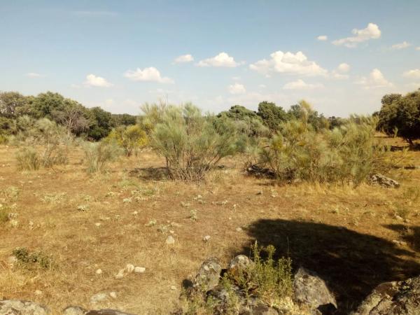 Terreno en avenida del Valle s/n