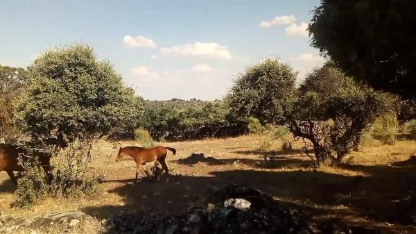 Terreno en avenida del Valle s/n
