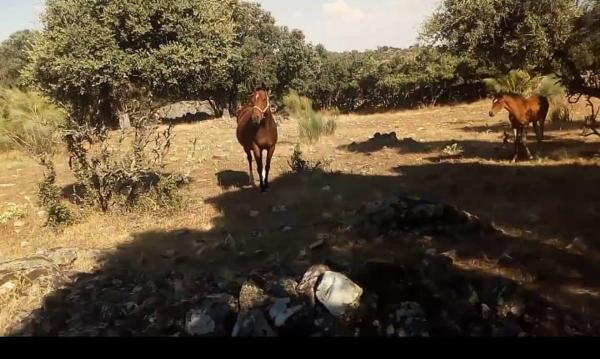 Terreno en avenida del Valle s/n