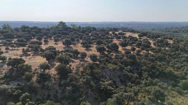 Terreno en camino Palancar Zona Xii