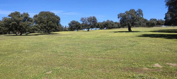 Terreno en calle Palancar, 44