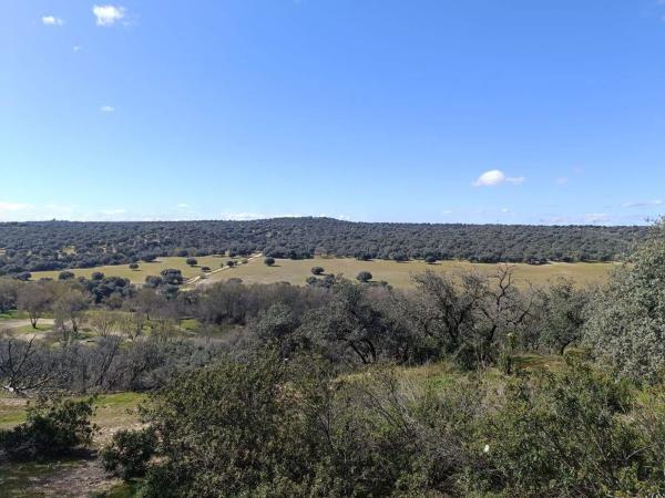Terreno en calle Valle de Esteribar