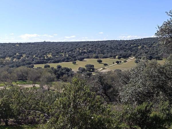 Terreno en calle Valle de Esteribar