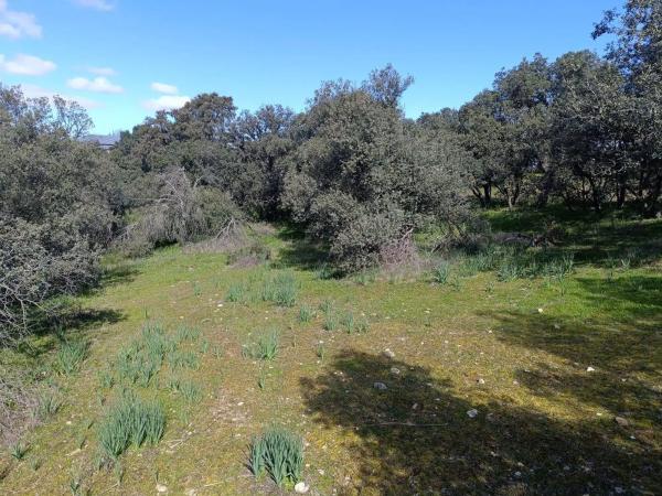 Terreno en calle Valle de Esteribar