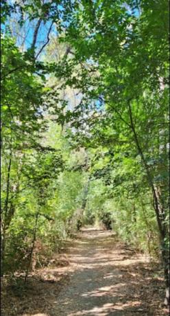 Terreno en camino De Madrid