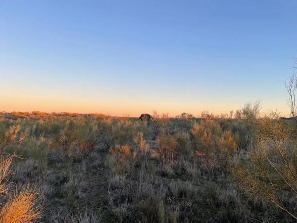 Terreno en Villanueva de la Cañada