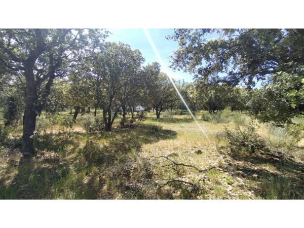 Terreno en Raya del Palancar - Guadamonte