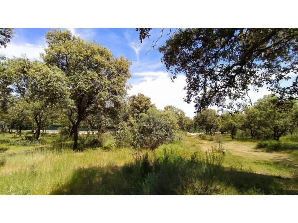 Terreno en Raya del Palancar - Guadamonte