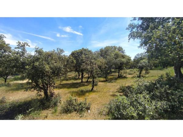 Terreno en Raya del Palancar - Guadamonte