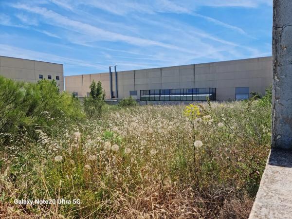 Terreno en calle Plutón, 5