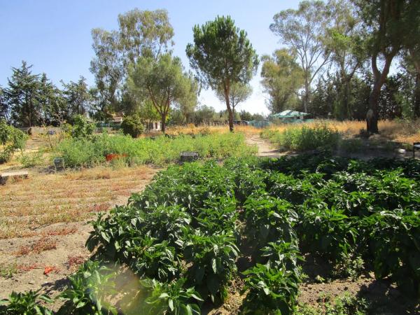 Terreno en Los Llanos - Valle Pardo
