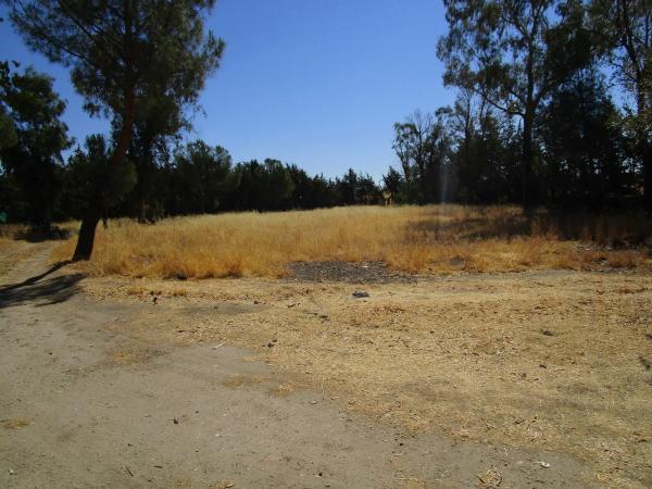 Terreno en Los Llanos - Valle Pardo