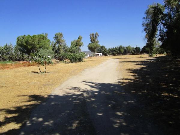 Terreno en Los Llanos - Valle Pardo