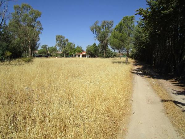 Terreno en Los Llanos - Valle Pardo