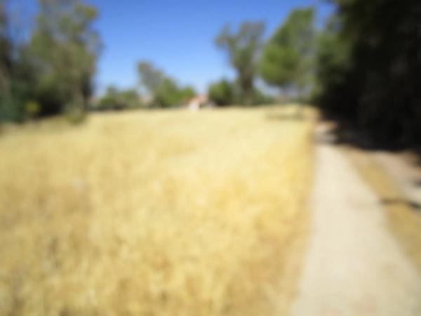 Terreno en Los Llanos - Valle Pardo