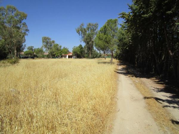 Terreno en Los Llanos - Valle Pardo