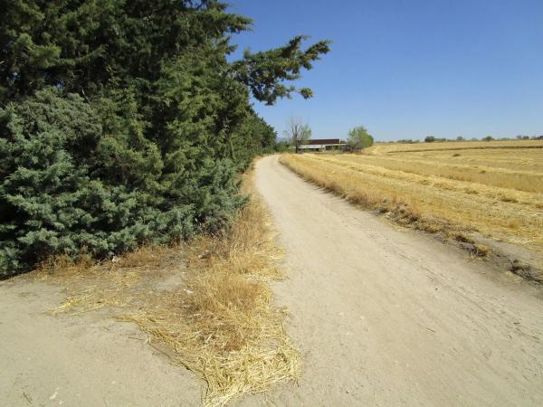 Terreno en Los Llanos - Valle Pardo