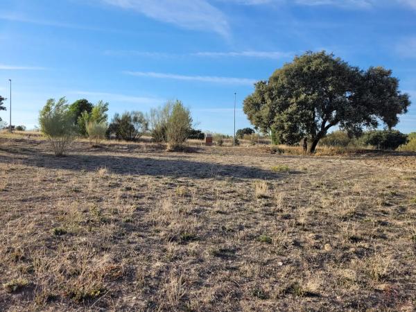 Terreno en calle Golondrina, 22 -24