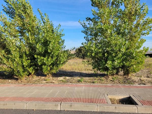 Terreno en calle Golondrina, 22 -24
