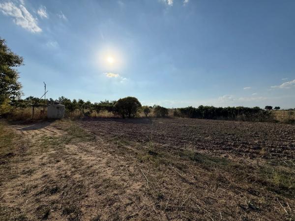 Terreno en calle Teral