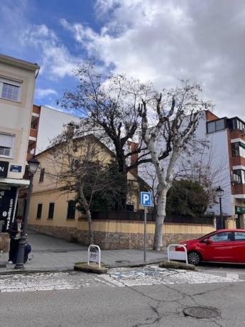 Terreno en calle Nueva