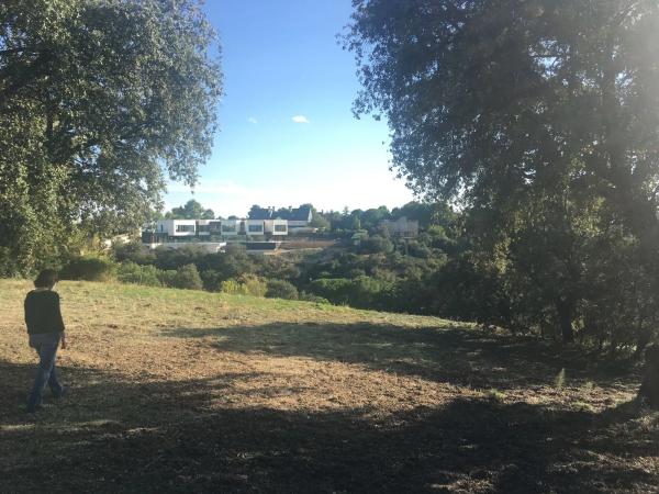 Terreno en calle Salado