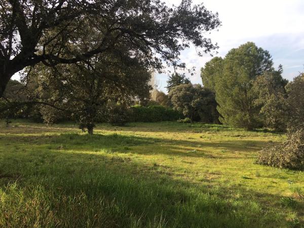 Terreno en calle Salado