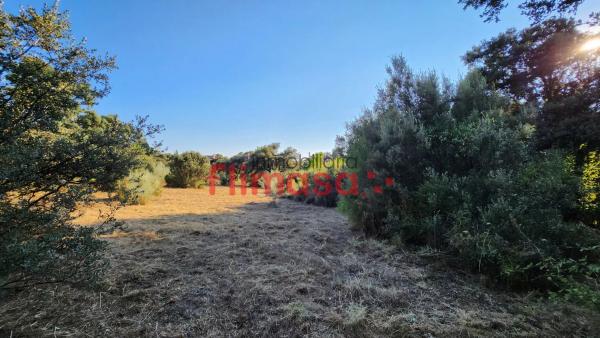 Terreno en calle Quípar s/n