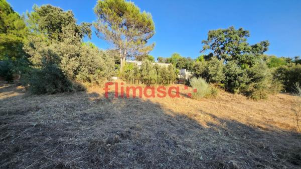 Terreno en calle Quípar s/n