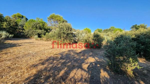 Terreno en calle Quípar s/n