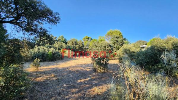 Terreno en calle Quípar s/n