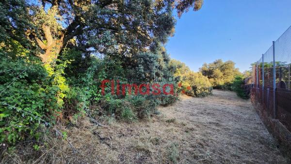 Terreno en calle Quípar s/n