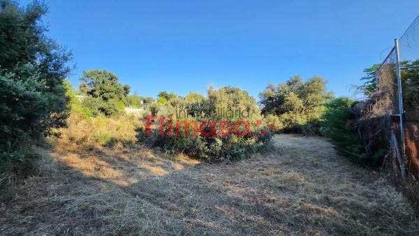 Terreno en calle Quípar s/n