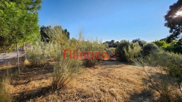 Terreno en calle Quípar s/n