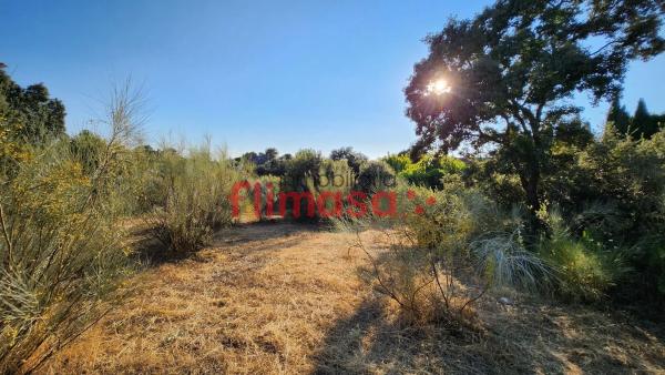Terreno en calle Quípar s/n