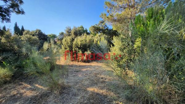 Terreno en calle Quípar s/n
