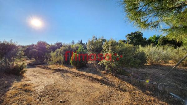 Terreno en calle Quípar s/n