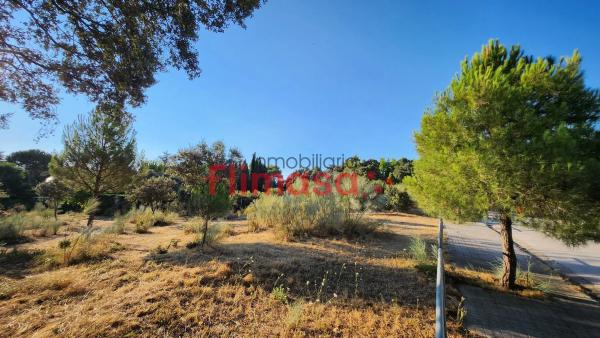 Terreno en calle Quípar s/n